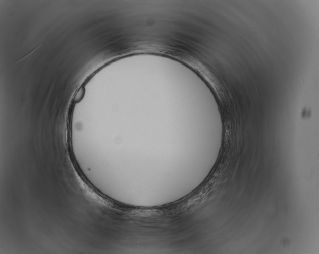 X0000094361143200711241931