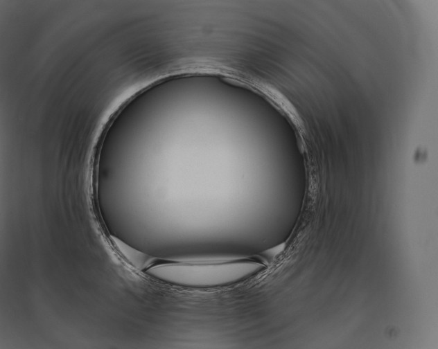 X0000094361144200711241931