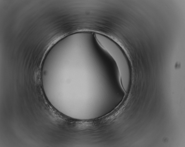 X0000094361145200711241931