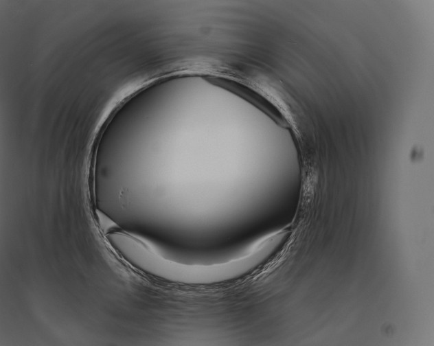 X0000094361146200711241931