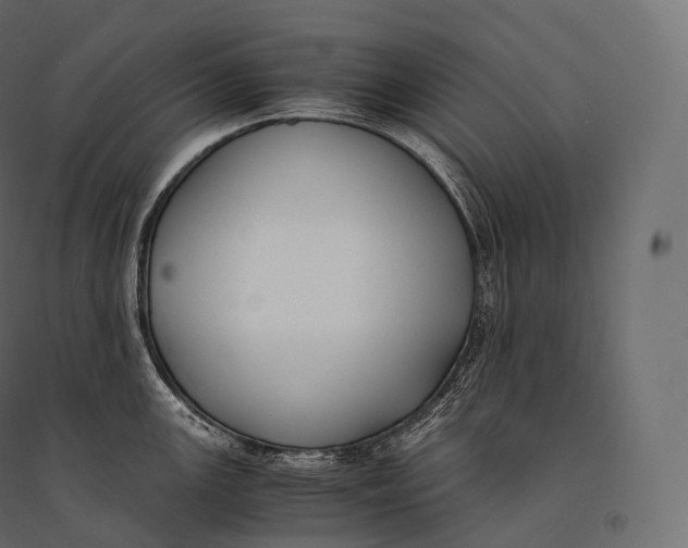 X0000094361147200711241931