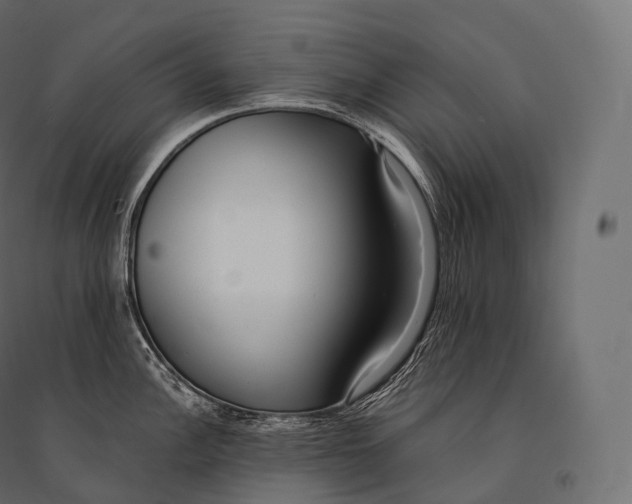 X0000094361148200711241931