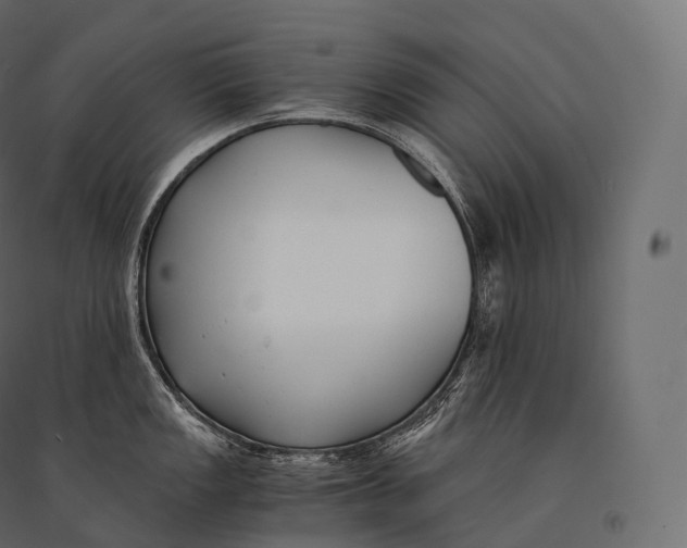 X0000094361149200711241931