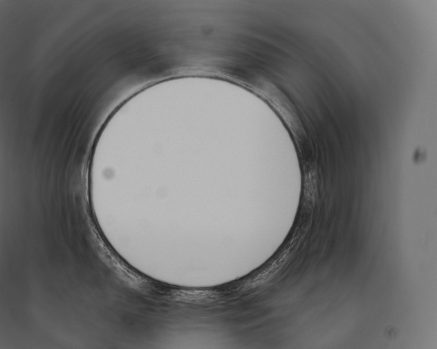 X0000094361150200711241931