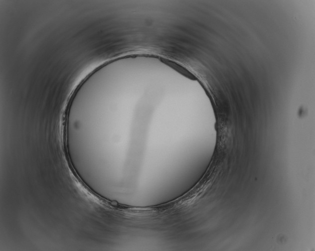 X0000094361151200711241931