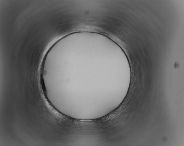 X0000094361152200711241932