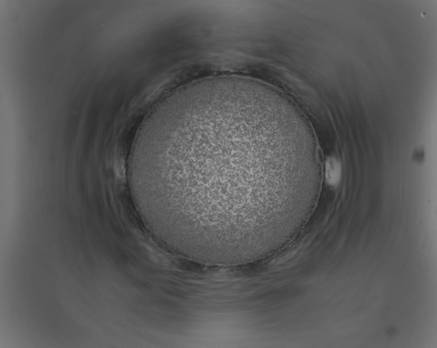 X0000094361155200711241931