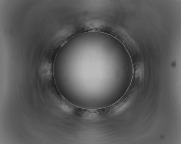 X0000094361156200711241931