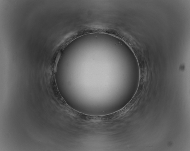 X0000094361157200711241931