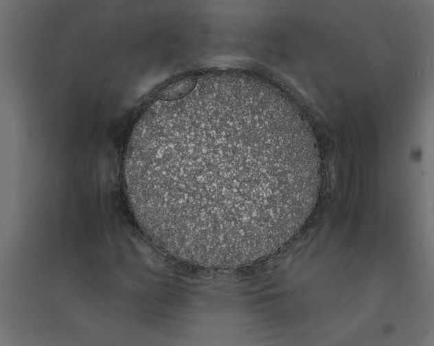 X0000094361158200711241931