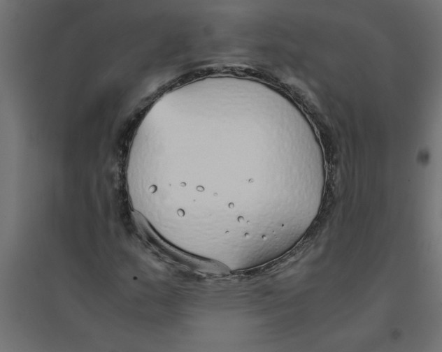 X0000094361159200711241931