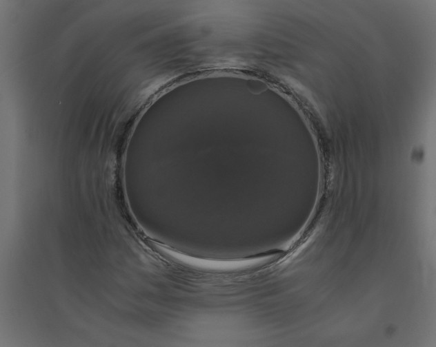 X0000094361161200711241931