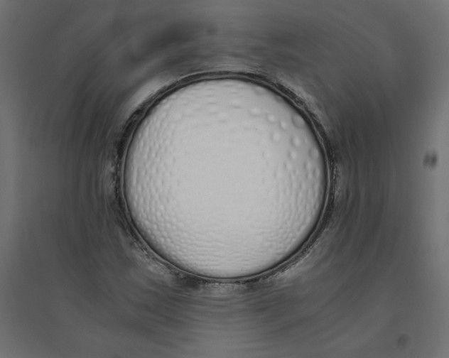 X0000094361163200711241931