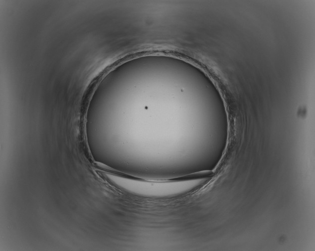 X0000094361165200711241931