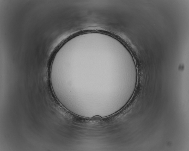 X0000094361167200711241931