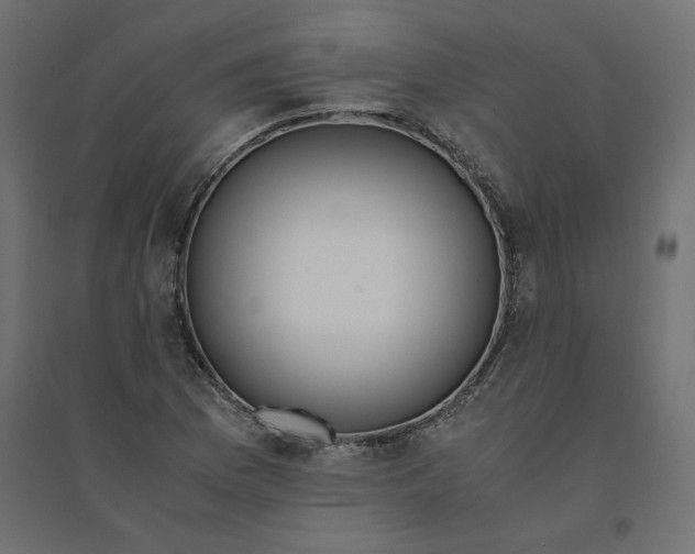 X0000094361169200711241931