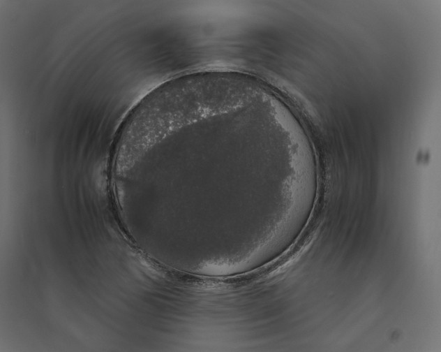 X0000094361170200711241931