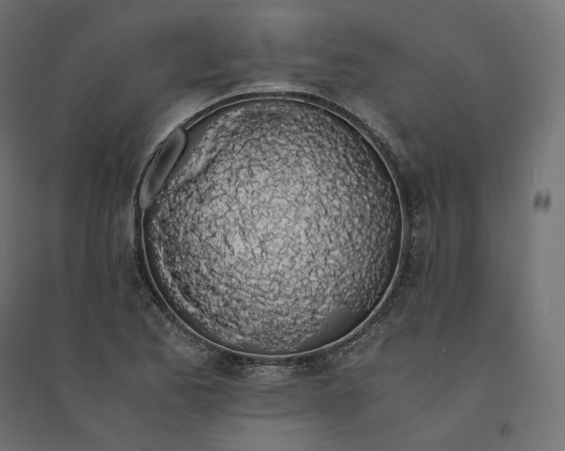 X0000094361173200711241931