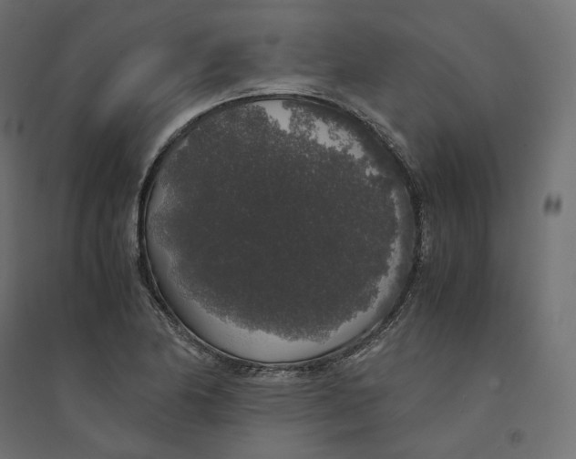 X0000094361174200711241931