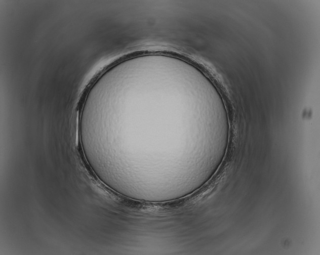 X0000094361175200711241931