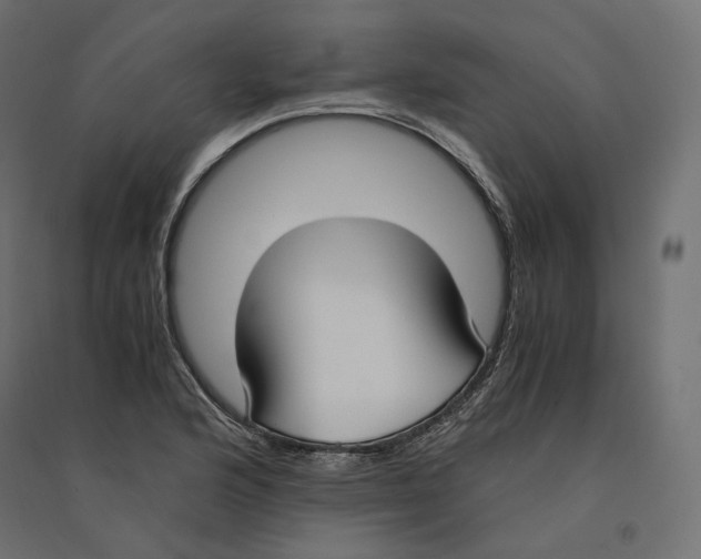 X0000094361176200711241931