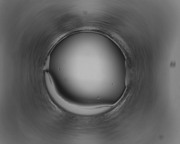 X0000094361177200711241931