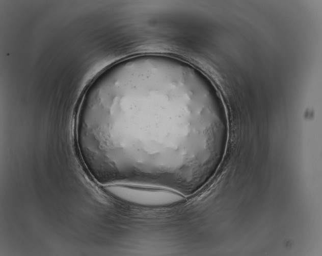 X0000094361179200711241930