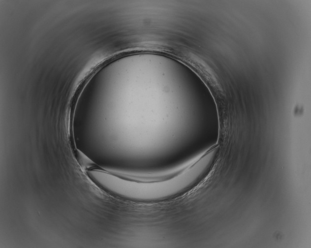 X0000094361180200711241930