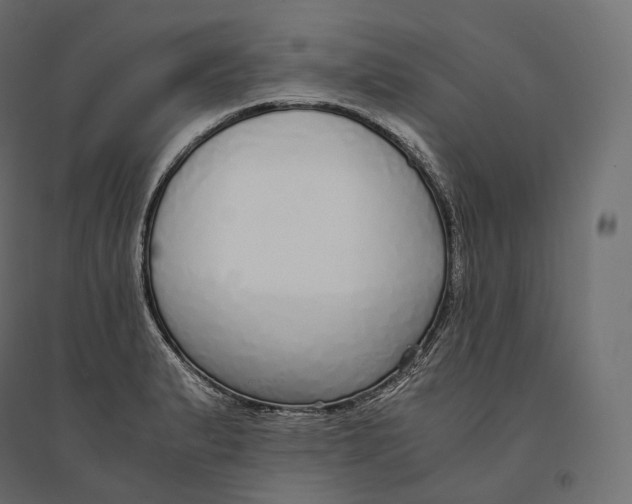 X0000094361183200711241930