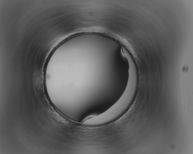 X0000094361184200711241930