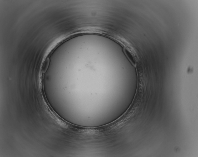 X0000094361188200711241930