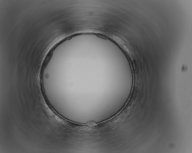 X0000094361189200711241930