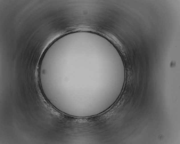 X0000094361190200711241930