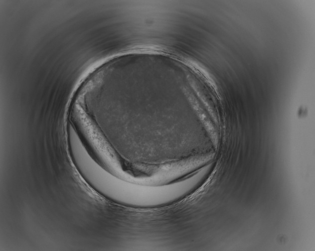 X0000094361192200711241930