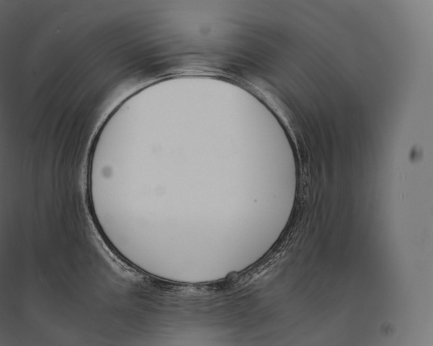 X0000094361195200711241930