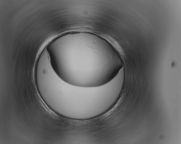 X0000094361196200711241930