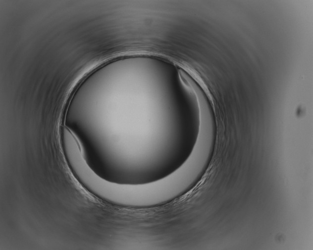 X0000094361197200711241930