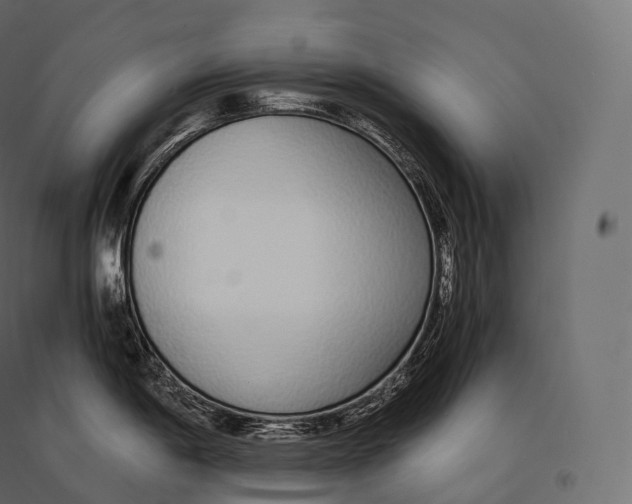 X0000094361198200711241930