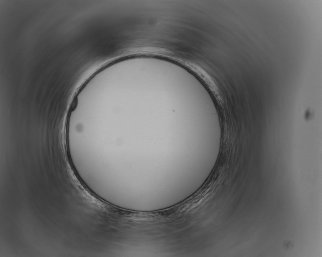 X0000094361199200711241930