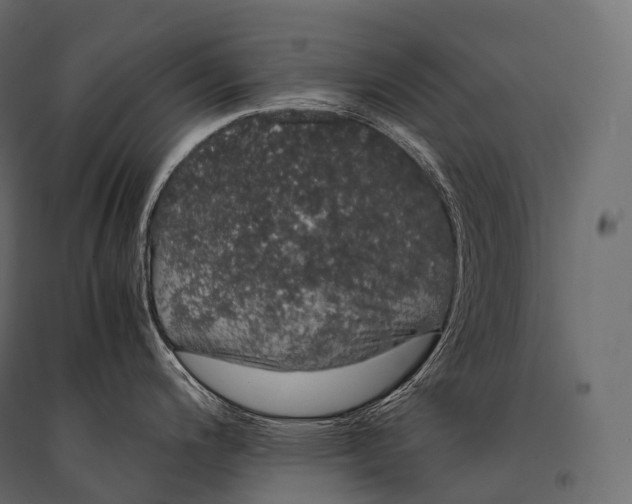 X0000094361200200711241930