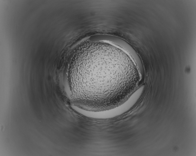 X0000094361202200711241929