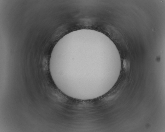 X0000094361203200711241929