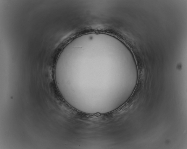 X0000094361205200711241929