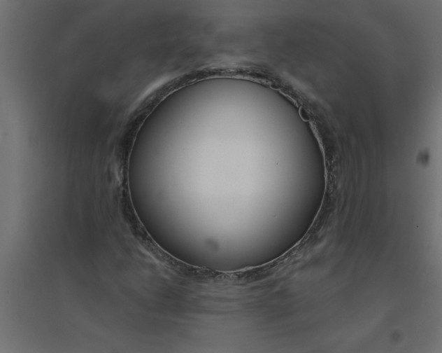 X0000094361206200711241929