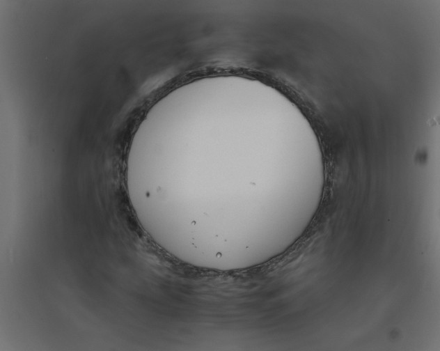 X0000094361207200711241929