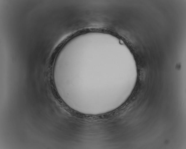 X0000094361208200711241929