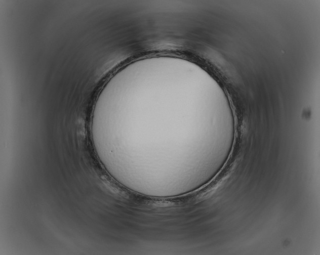 X0000094361209200711241929