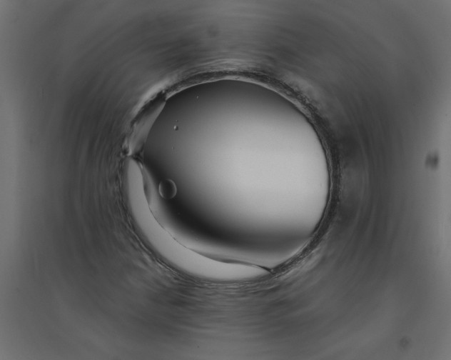 X0000094361210200711241929