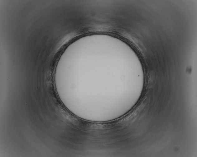 X0000094361211200711241929