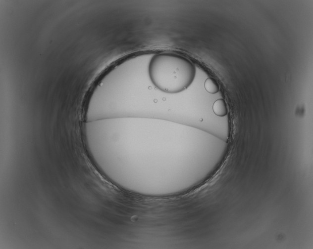 X0000094361212200711241930